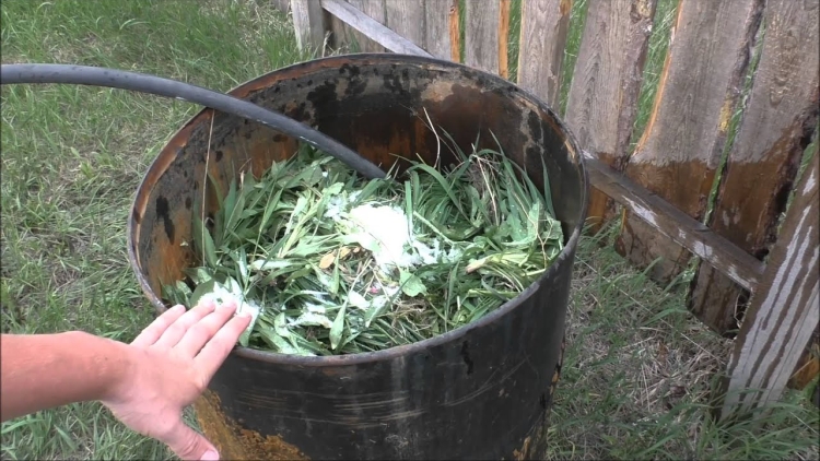 Покос травы: как использовать скошенную траву