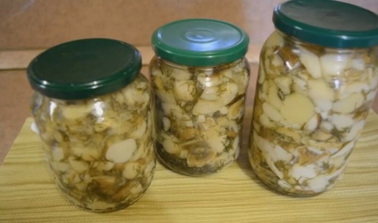 Белые грибы на зиму рецепты