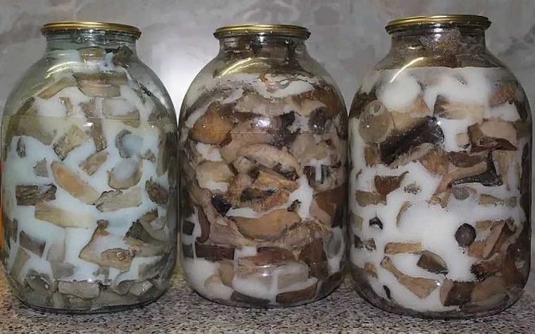 Белые грибы на зиму рецепты